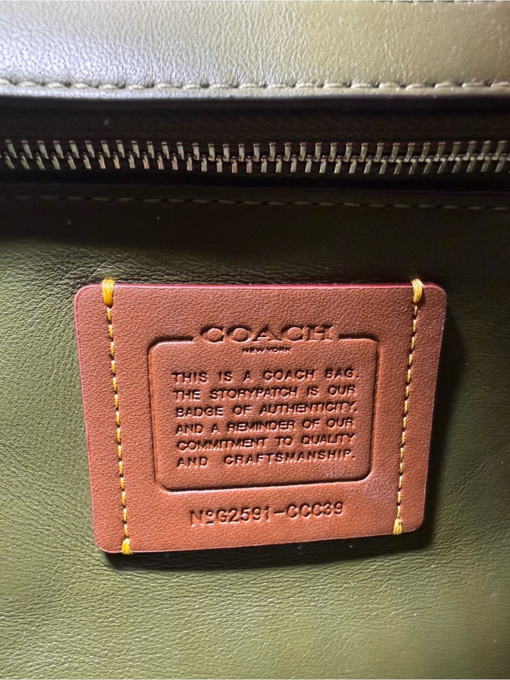 Coach Slouchy Rogue-Green - Picture 10 of 12